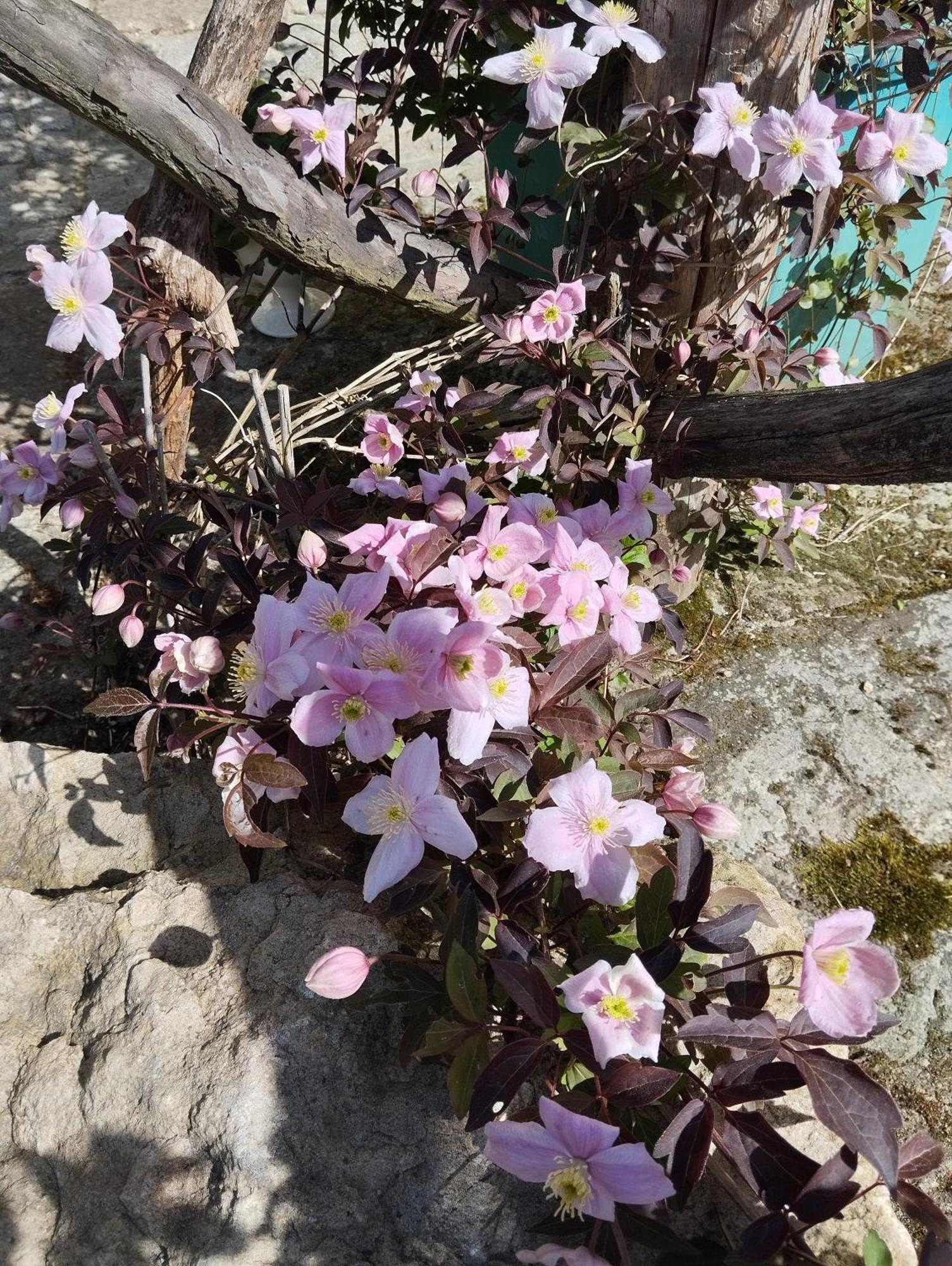 Forellenwasser Rosenthal-Bielatal Exteriör bild